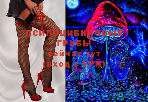a pvp Алексин
